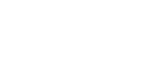 BDS/BVMU Logo