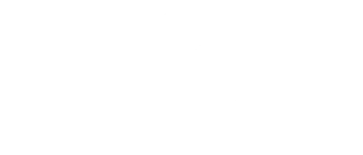 Logo BDS BVMU